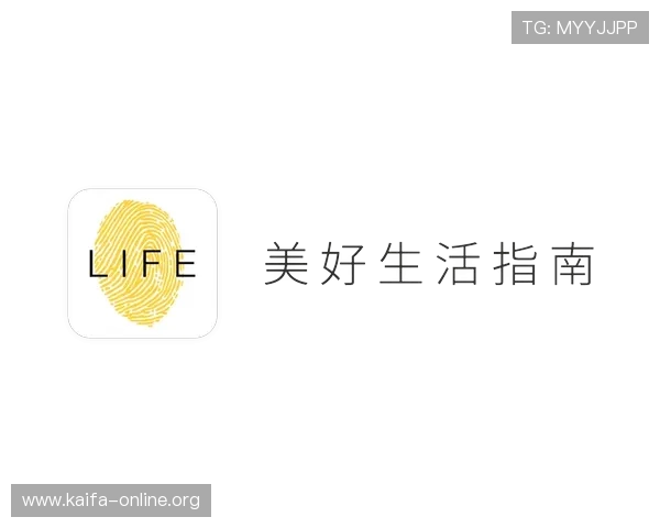 探索K8体育新版的全新界面设计与功能优化提升用户体验的详细指南